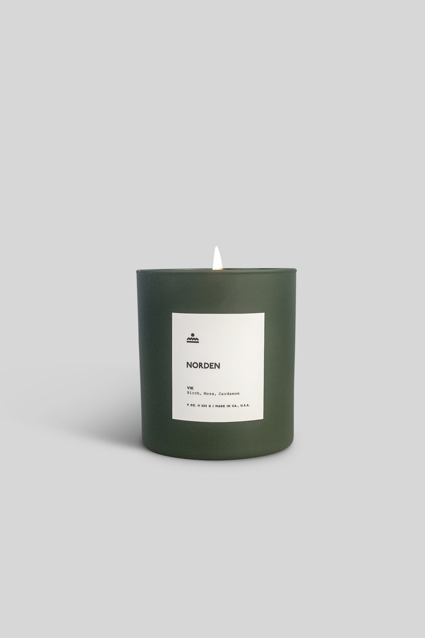 Vik 9 oz. Glass Candle